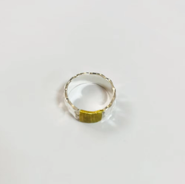 Golden Legacy Geometric Silver Ring